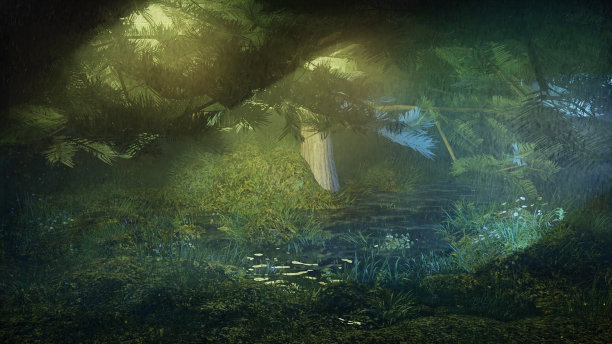 雨夜照片，沼泽森林夜晚的雨-自然景观图片下载