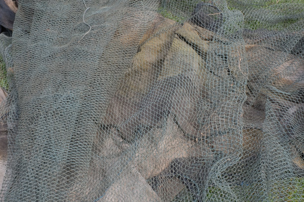 用于养鱼的渔网图片下载