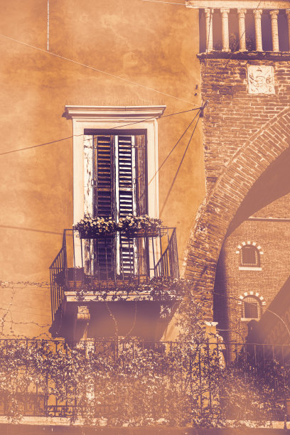 美观、功能性和性能图片下载