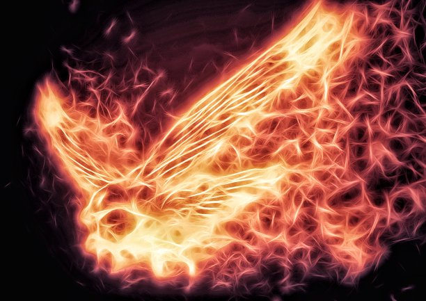 一只凤凰在夜空中扇动翅膀的插图图片下载