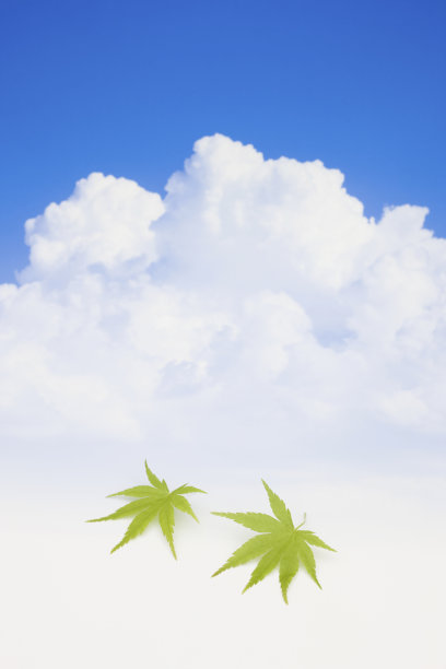 蓝天，白云，枫叶图片下载