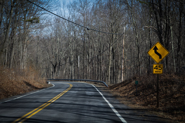 冬日的林地路图片下载