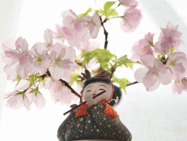樱花和日本娃娃图片下载