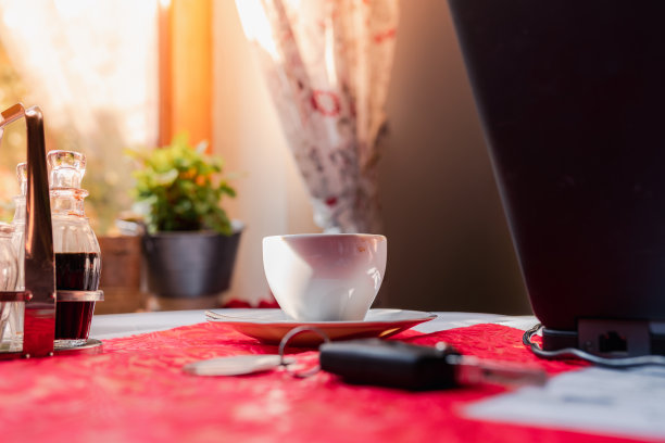 家猫在舒适的床上安睡图片下载