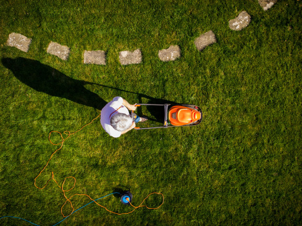 鸟瞰图中的人在花园里用割草机割草图片下载