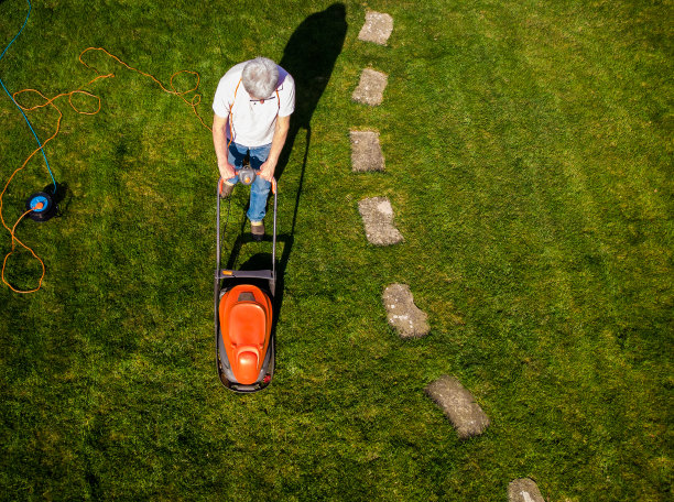 鸟瞰图中的人在花园里用割草机割草图片下载