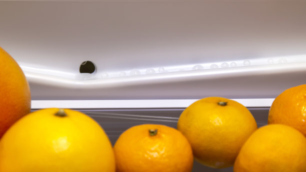 用于家庭冰箱食品特写除霜的滴灌系统。图片下载