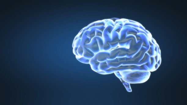 可循环人脑的抽象动画图片下载