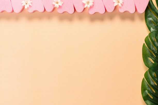 粉面海绵与风信子花图片下载