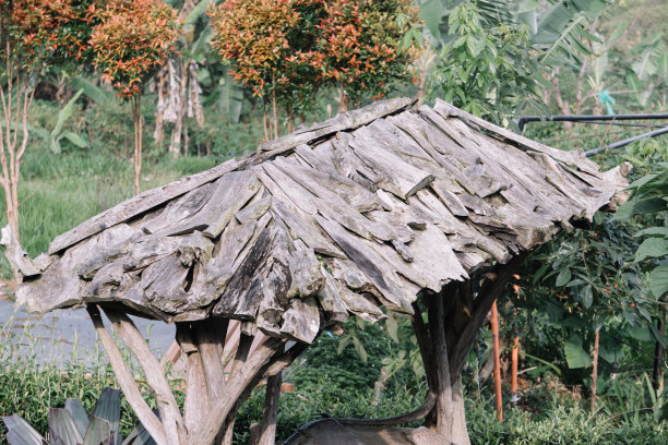 花园里的旧木秋千图片下载