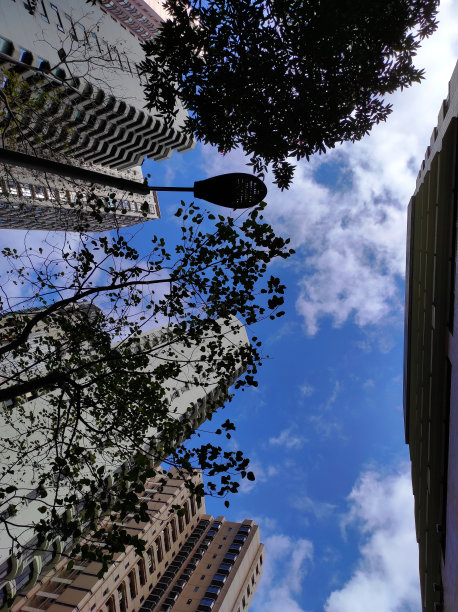 城市中建筑物对着天空的低角度视图图片下载