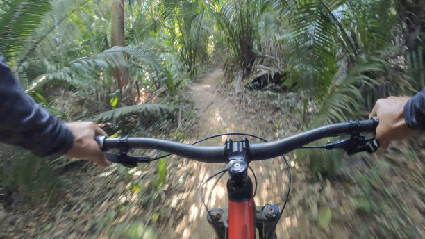 山地车沿着丛林小径行驶图片下载