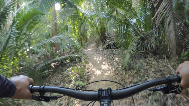 山地车沿着丛林小径行驶图片下载