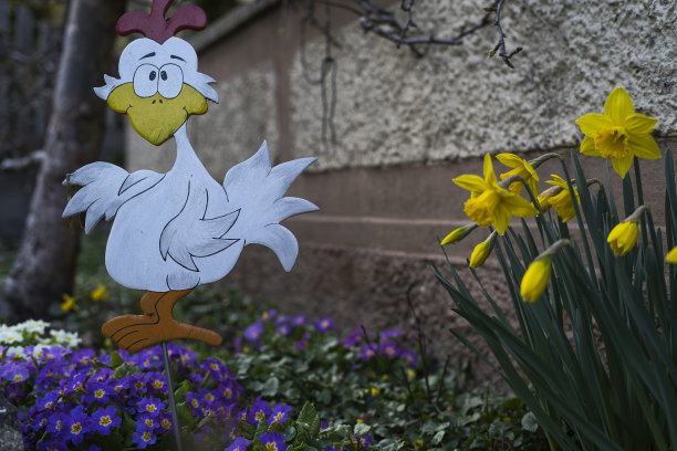 复活节小鸡图片下载