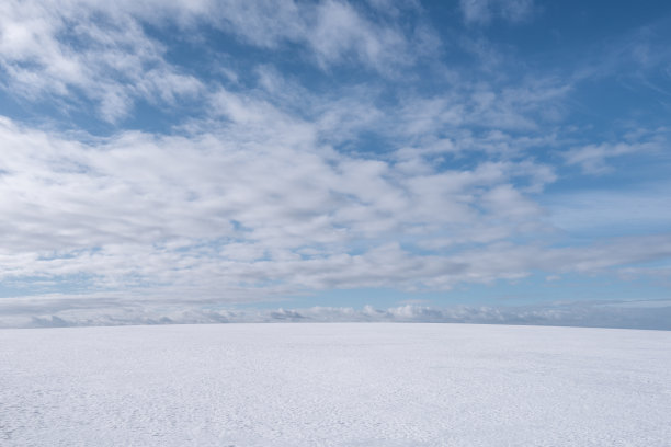 田野上白雪皑皑，一直延伸到地平线上，天空阴云密布，美丽无比。图片下载