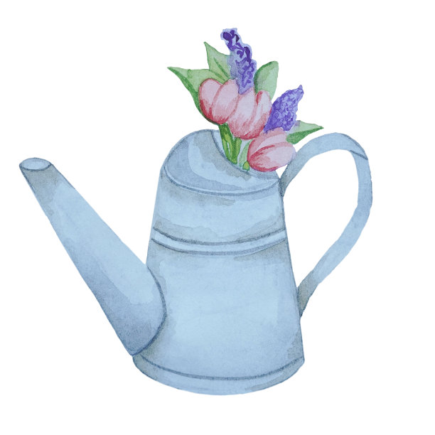 花束在喷壶里，郁金香在喷壶里画上水彩，金属花园喷壶图片下载