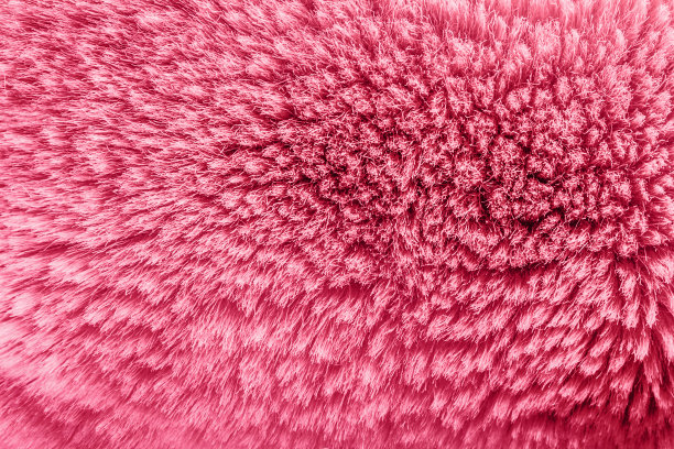 粉红色动物皮毛纹理背景照片。图片下载