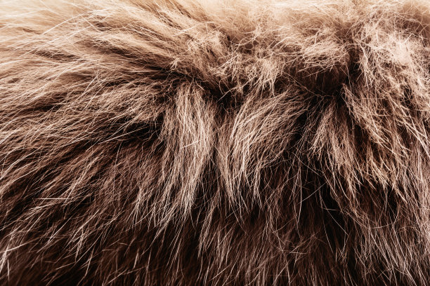 棕色动物皮毛纹理背景照片。图片下载