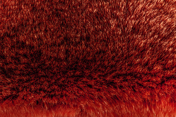 红色动物皮毛纹理背景照片。图片下载