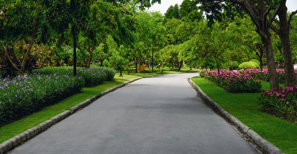 公园里的春天图片下载