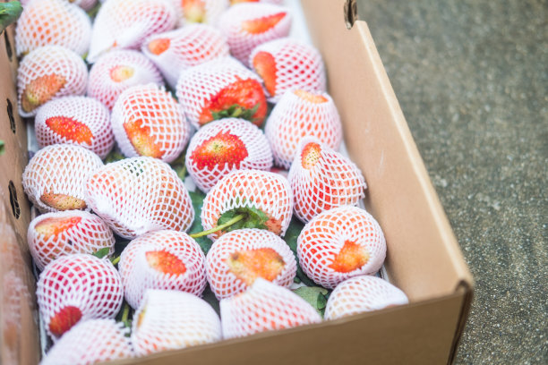 防震水果网里的新鲜草莓图片下载