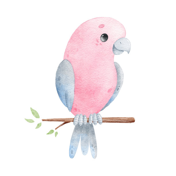 卡通鹦鹉的水彩插图。热带鸟类。可爱的水彩的动物。图片下载