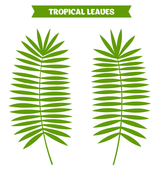 热带叶平面矢量植物插图。棕榈叶剪纸艺术图片下载
