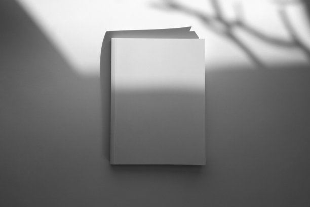 折叠的小册子模型。空白模拟的小册子，菜单和书。杂志白纸。模型的传单。在白色背景上孤立的两份小册子的模板。图片下载