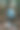 一个年轻的自由职业者和一只小猫在一起图片下载