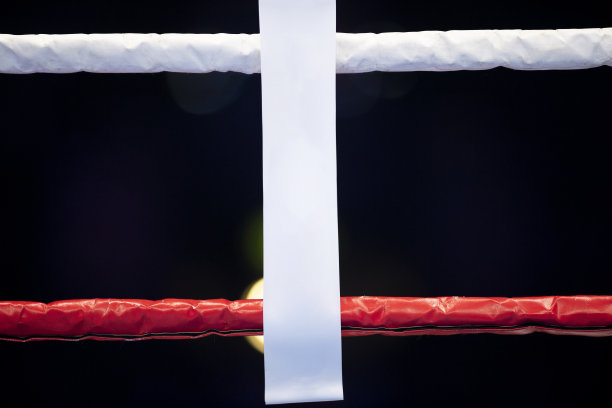 拳击和许多人用模糊的聚光灯打拳击。垂直运动主题海报，贺卡，标题，网站和应用程序。专业的运动概念。图片下载