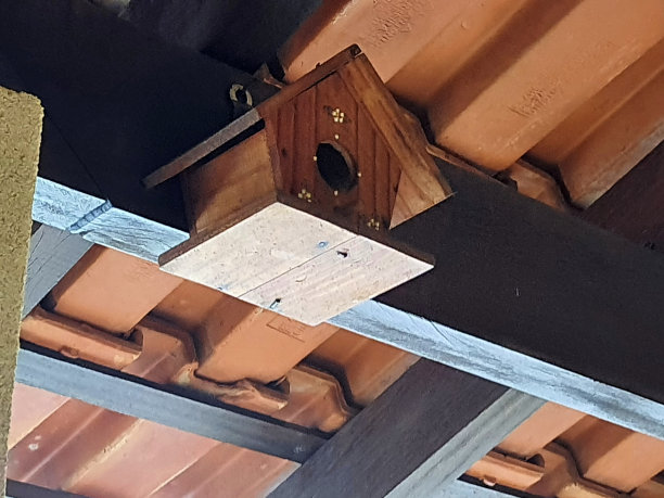 鸟屋在房子的外面。图片下载