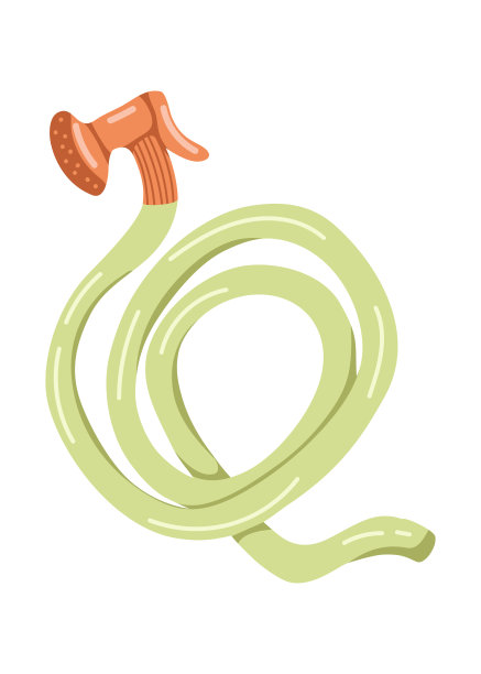 向量孤立的元素。喷雾胶管。水炮。园艺。春天。白色背景上的彩色图像。印刷用于包装设计。图片下载