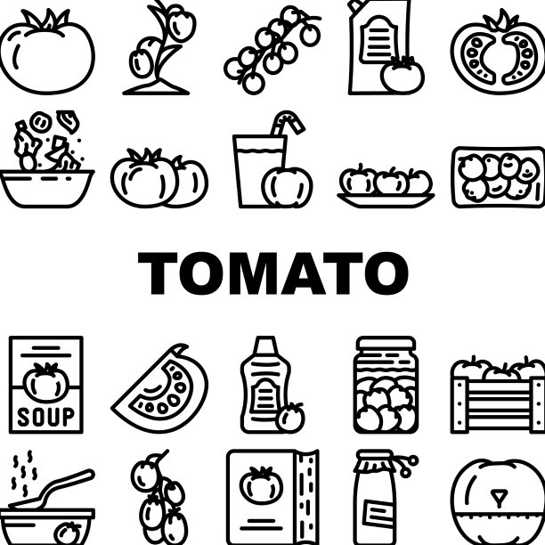 番茄天然生物成分图标集图片下载