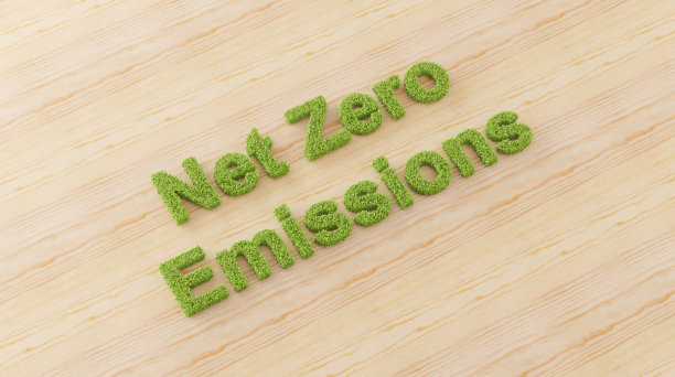 三维叶片形成净零排放文本木材背景，减少全球二氧化碳2050年政策说明，绿色可再生能源技术发展清洁的未来环境图片下载