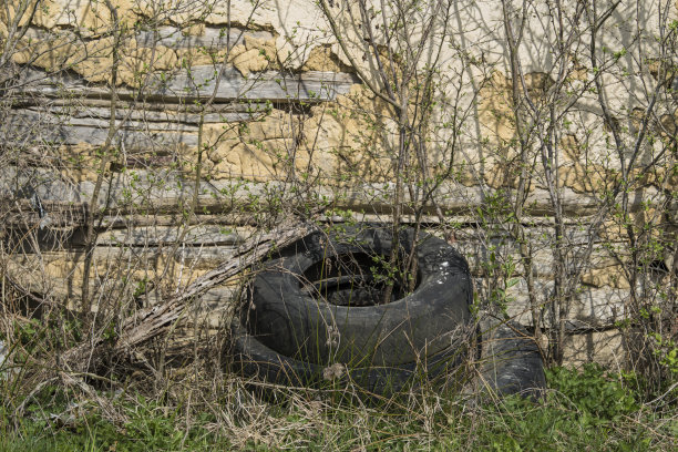 废弃在原始森林生态系统中的旧橡胶汽车轮胎。图片下载