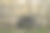 废弃在原始森林生态系统中的旧橡胶汽车轮胎。图片下载