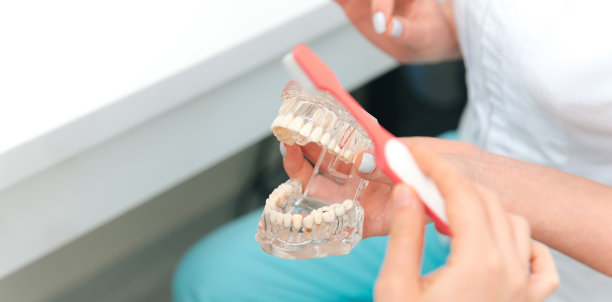 戴一次性手套的牙医手拿义齿的照片。图片下载