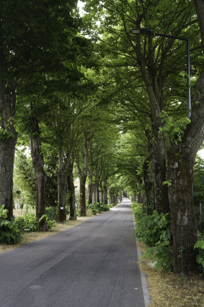 列蒂省从塔拉诺到科尔维科奥的乡村公路图片下载