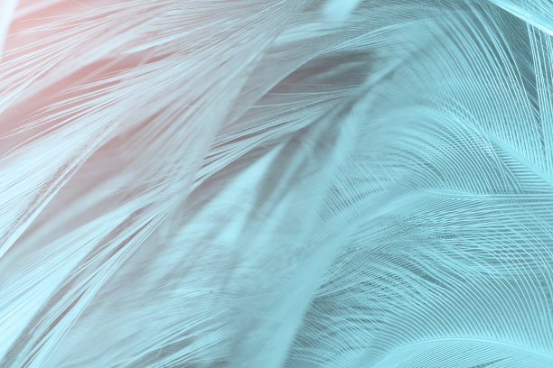 蓝色绿松石羽毛纹理图案背景图片下载