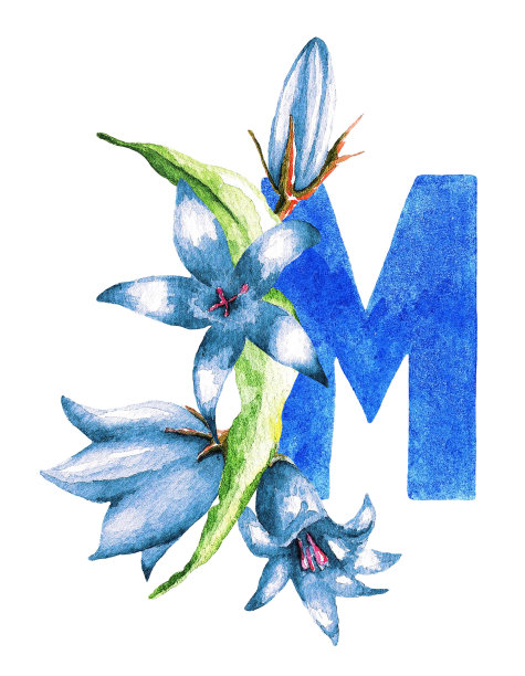 字母M和铃铛。水彩图片下载