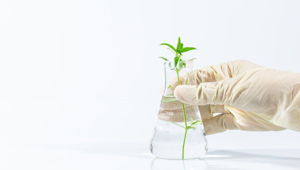 科学离体植物实验，遗传实验室生物技术分析实验室测试植物标本图片下载