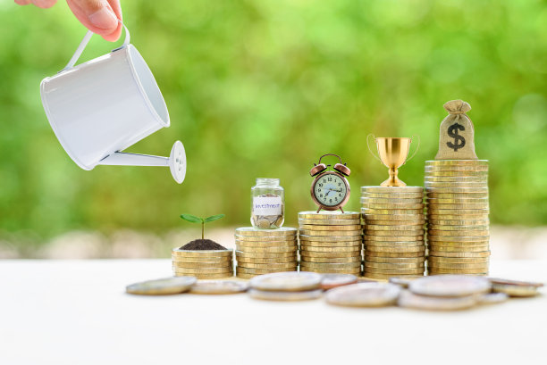 可持续增长的长期投资，金融概念:手从一个喷壶里把水倒在一棵小树上。图片下载