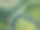 汽车在公路上行驶的航拍照片，在树下的河边，在早春阳光明媚的日子里俯瞰图片下载