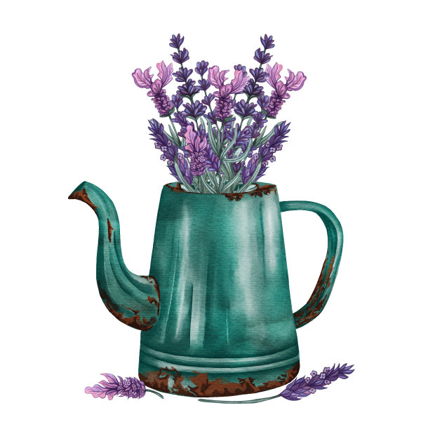 水彩薰衣草在一个金属质朴的花盆孤立在白色。普罗旺斯农舍。图片下载