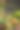 端午节照片素材ID：417392454