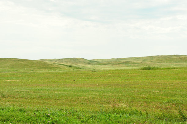 夏天多云的天空下，割草的丘陵地带。图片下载