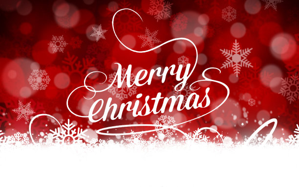 圣诞红插图，雪星纹理节日背景图片下载