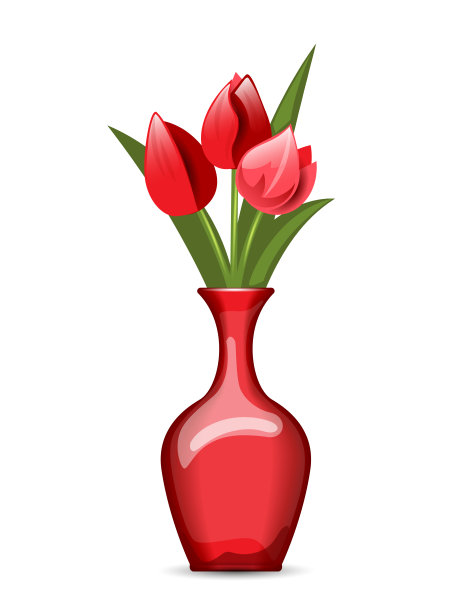 白色背景下，红色花瓶中的红色郁金香花束图片下载