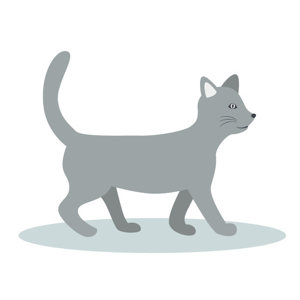 快乐的灰猫在走路。矢量图图片下载