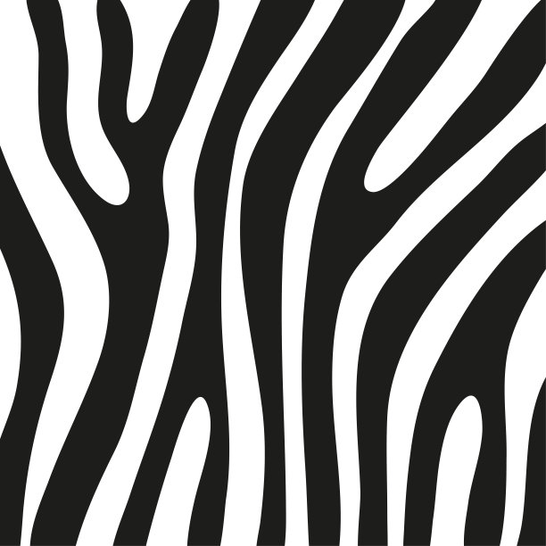 斑马皮上的黑色条纹，用于装饰图案图片下载